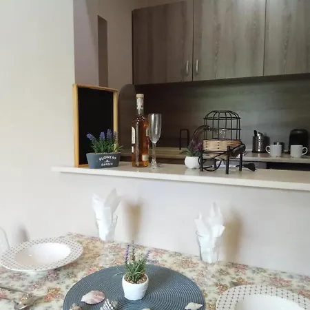 Apartments Primorsko アパート プリモルスコ